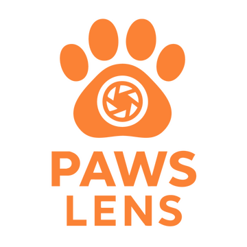 Paws Lens
